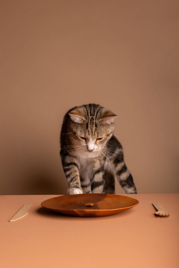 diarrea- cause più frequenti