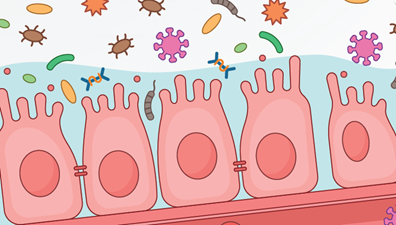 microbiota